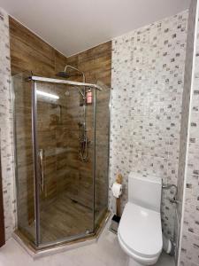 a bathroom with a shower and a toilet at Casa Vladeasa in Caciulata +19 photos