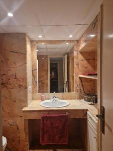 a bathroom with a sink and a large mirror at Salusahome parking gratuito in Córdoba