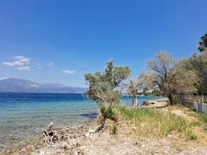 Φυσικό τοπίο κοντά σε αυτή η παραθεριστική κατοικία