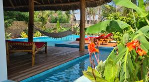a resort with a hammock and a swimming pool at Villa Hunzibar Jambiani in Jambiani