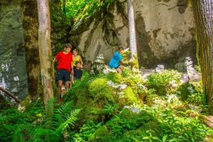 a group of children walking through a forest at Apartments in Bezau - Vorarlberg 41140 in Bezau +17 photos