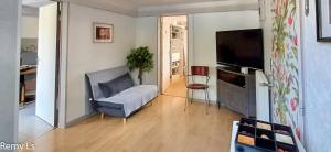 a living room with a couch and a television at joli appartement in Villeneuve-sur-Lot