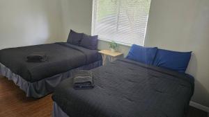 two beds in a room with blue pillows at Homey 2br Home Near Downtown & Airport in Austin