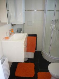 a bathroom with a sink and a shower at Apartment Mödling in Mödling