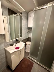 a bathroom with a sink and a shower at Stan Hacienda in Valjevo +39 photos