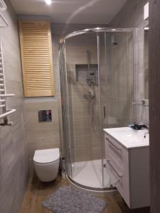 a bathroom with a shower and a toilet and a sink at U Wioli in Lubawka