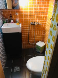 a small bathroom with a toilet and a sink at Ανατολή apartment in Nea Mesangala