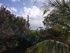 Photo de la galerie de l'établissement Oceanview Studio Allée Tamarin, à Rodrigues Island