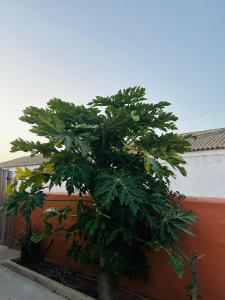 Gallery image of Hostal Cafeteria El Mero in Zahora