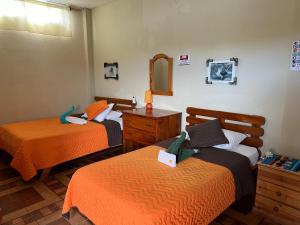 Voodi või voodid majutusasutuse Hostal Cattleya toas