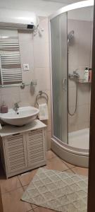Ένα μπάνιο στο Apartman Campo