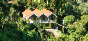 a house in the middle of a forest at Springfeel Homestay in Jālāpahār