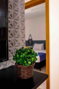 a basket with a plant on a table in a bedroom at BEM no CeNtRo, cozinha completa, varanda e garagem in Poços de Caldas