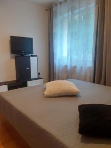 a bedroom with a bed with a flat screen tv at Apartament PARTER CU GRADINA in Slănic-Moldova