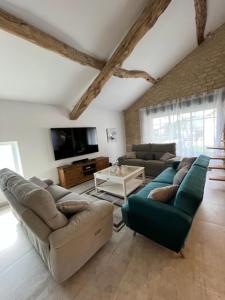 a living room with two couches and a tv at La Grange - La Grange des Colporteurs in Nanclars