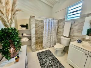 a bathroom with a shower and a toilet and a sink at Casa Playa in Boqueron +26 photos