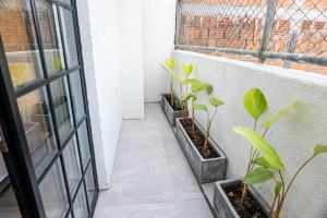 Monte Pueblo Hotel Boutique的阳台或露台
