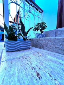 Fotografie z fotogalerie ubytování Hotel en Guadalajara Posada Mi Rey v destinaci Guadalajara