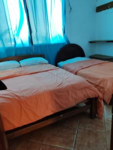 two beds sitting next to each other in a room at Samak Wasi in Tarapoto +12 photos