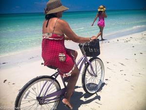 Hosté ubytování Newly Remodeled Apt! Key-West Victorian with beach access, to Siesta Key Beach!