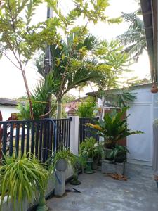 Zahrada ubytování Villa 22 Negombo