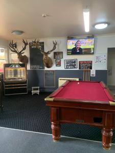 TV a/nebo společenská místnost v ubytování Ashhurst Deer N Duck Inn