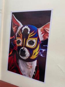 Фотография из галереи Hostal mil Mascaras 7 в городе Оахака-де-Хуарес