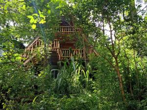 Zahrada ubytování Eco Village