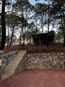 a stone wall and stairs in a park with trees at Cabaña Mazamitla Glamping de Altura in Mazamitla