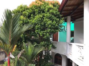 a palm tree in front of a building at Coastal Cloud Backpackers in Unawatuna