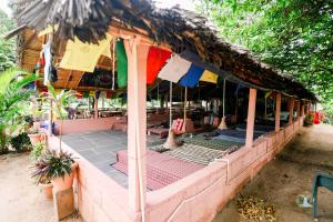 Hampi Waterfall Cottages外面的花园