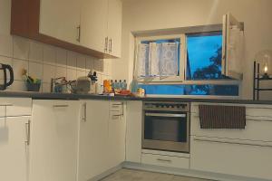 Kuchyň nebo kuchyňský kout v ubytování Ferienwohnung OT Meersburg + 6 fotografií