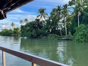 a view of a river with palm trees in the background at Quite and peaceful in Perumanseri