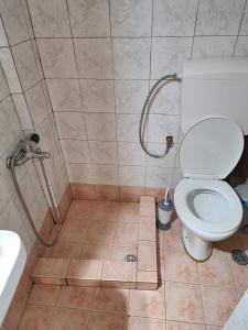 un bagno con wc e doccia di Diana's Cozy 12 Studio a Ioannina Altre 8 foto