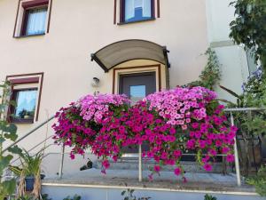 Zahrada ubytování FeWo Ulbrich Langenstadt