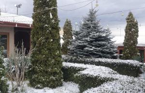 DALLAR Guest House talvel