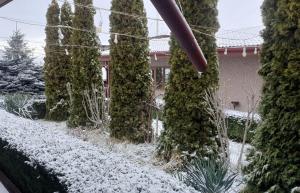 DALLAR Guest House talvel