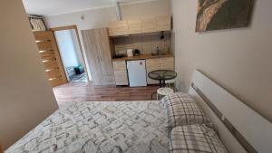 Kuchyň nebo kuchyňský kout v ubytování Apartamenti ar verandu diviem cilvēkiem