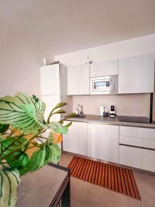 Kuchyň nebo kuchyňský kout v ubytování Apartment Mare45 - 10 minutes walk from the beach with one private ombrella and two sun-beds