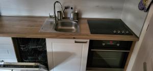 Kuchyň nebo kuchyňský kout v ubytování Apartmán Šumavský Buk 14 Brčálník
