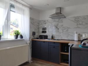 弗济内"Cattus" studio apartman的厨房配有柜台、水槽和窗户