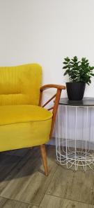 "Cattus" studio apartman的休息区