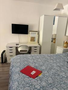 TV a/nebo společenská místnost v ubytování Basement studio apartment