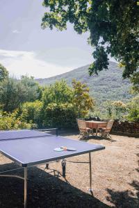 Φυσικό τοπίο κοντά σε αυτό το διαμέρισμα