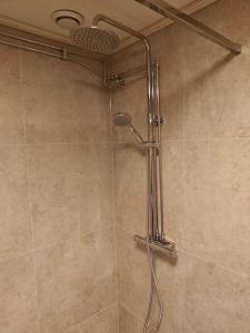 a shower with a shower head in a bathroom at Sea-loving house in Åhus