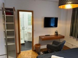 TV a/nebo společenská místnost v ubytování Hotel SchlossStuben