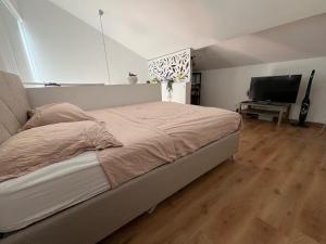 Μια τηλεόραση ή/και κέντρο ψυχαγωγίας στο Charmant Duplex Bordeaux - Place de Parking Privée - Tram