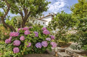 Zahrada ubytování Aeolos Hotel & Villas - Pelion