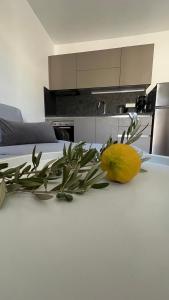 Φωτογραφία από το άλμπουμ του Villa Nicolina σε Límnai