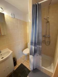 un bagno con doccia, wc e lavandino di Nasze Morze a Dziwnów